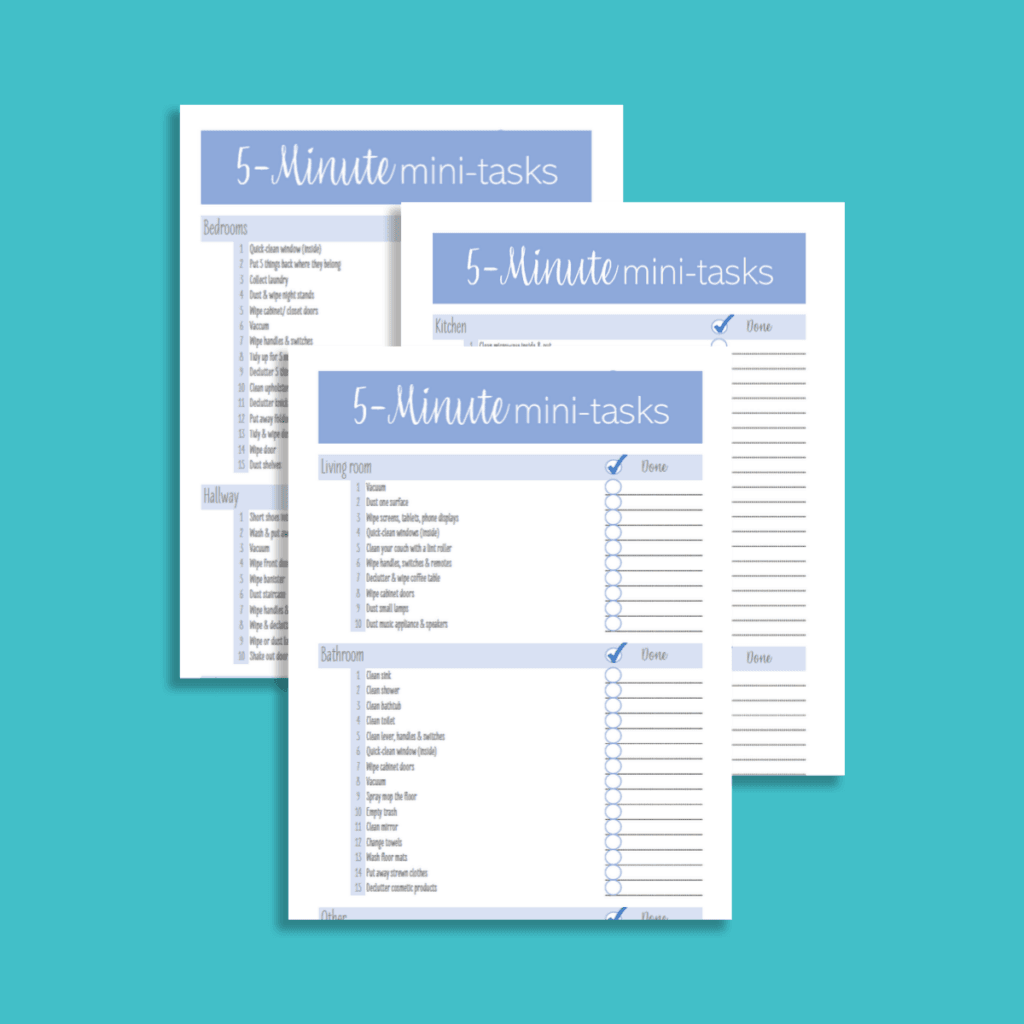 Cleaning checklist 1