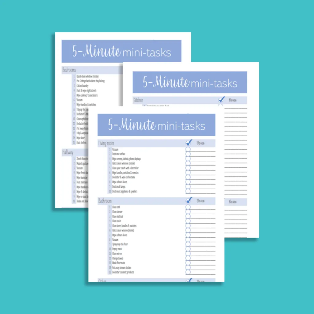 Cleaning checklist 1