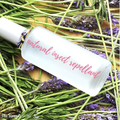 DIY Natural Insect Repellent - for babies, children and adults 8